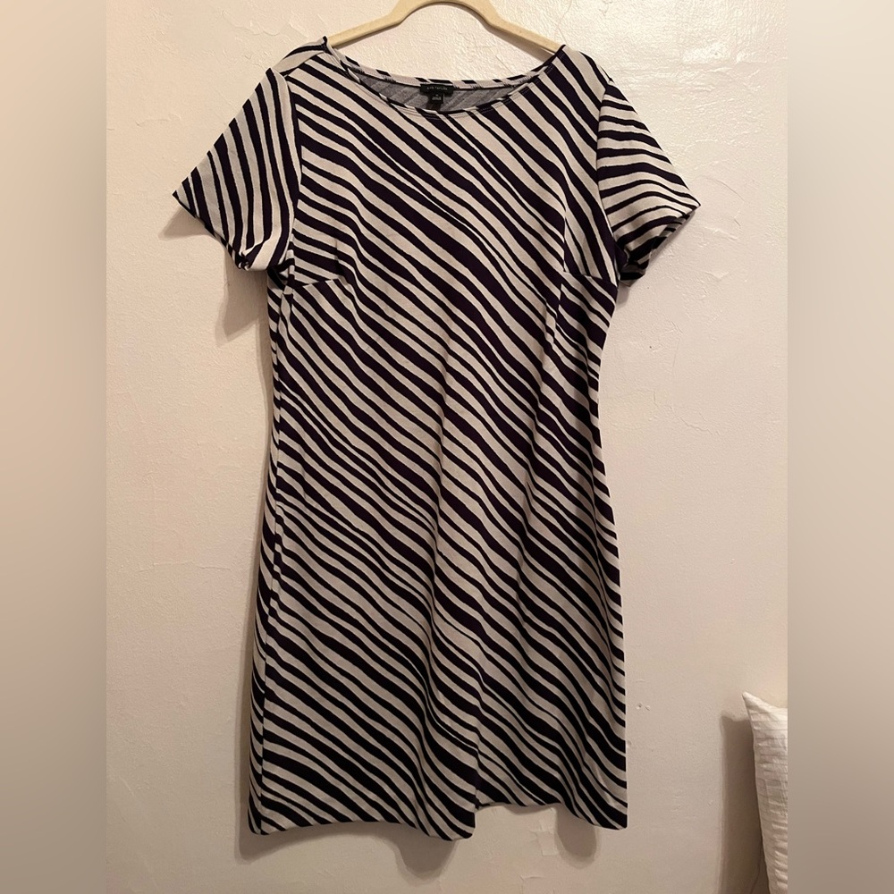 Ann Taylor Zebra Jacquard Shift Dress | Size 12 | NWT